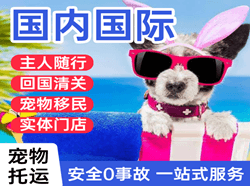 新桥航空邮寄国际宠物托运 【国